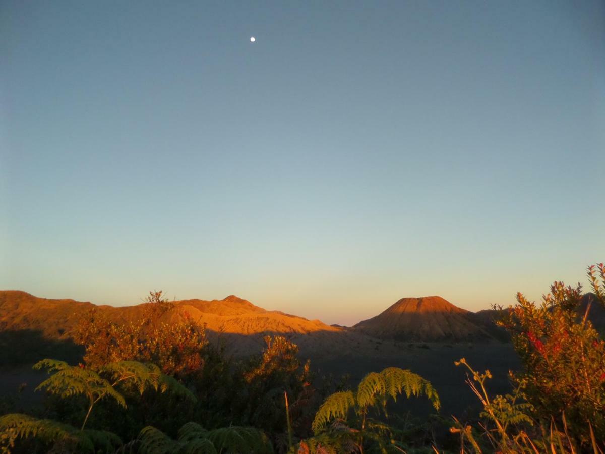 Tengger Indah Homestay Бромо Екстериор снимка
