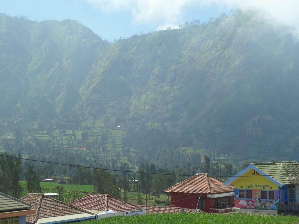 Tengger Indah Homestay Бромо Екстериор снимка
